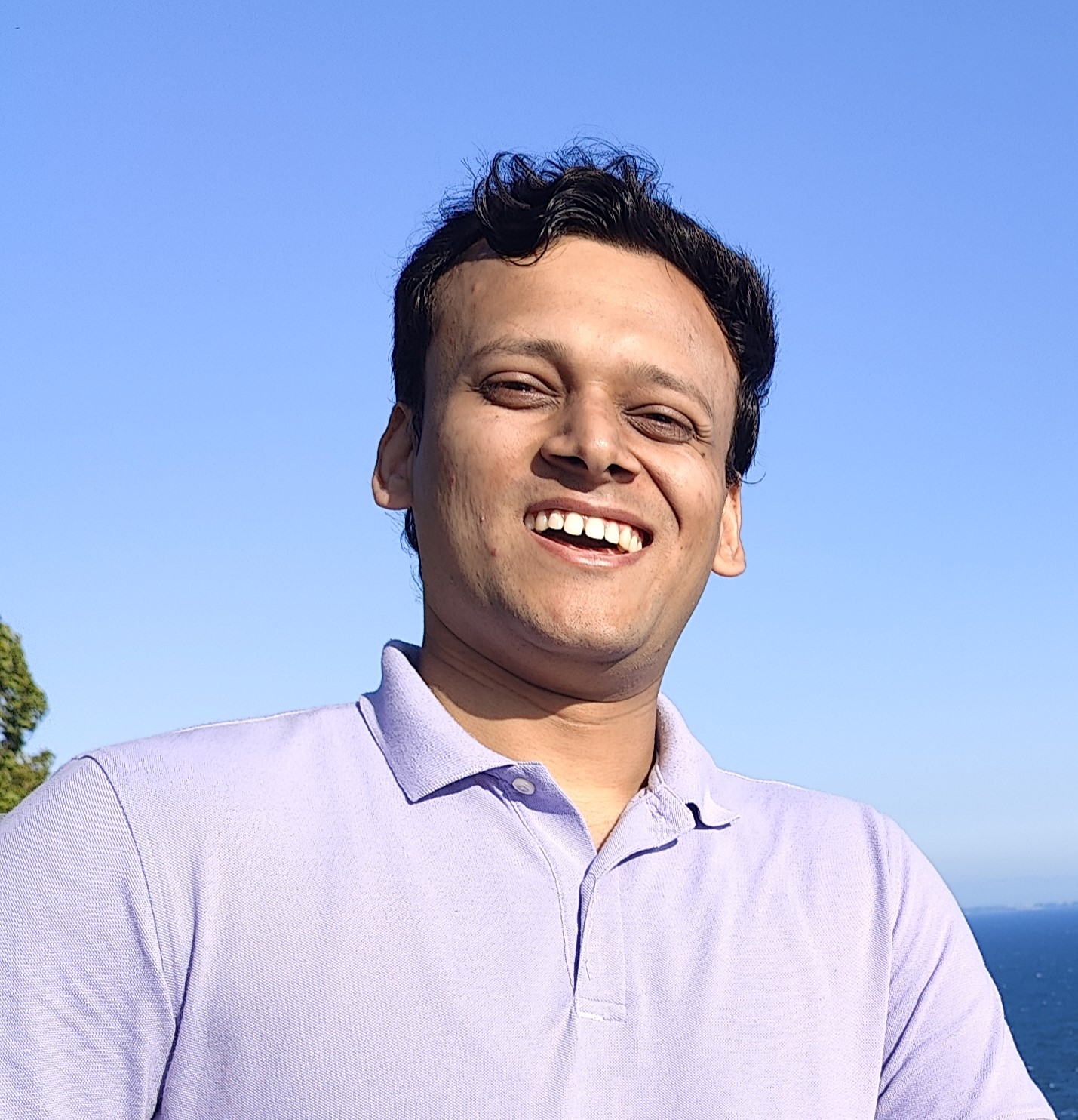 Model Extraction Defense Framework